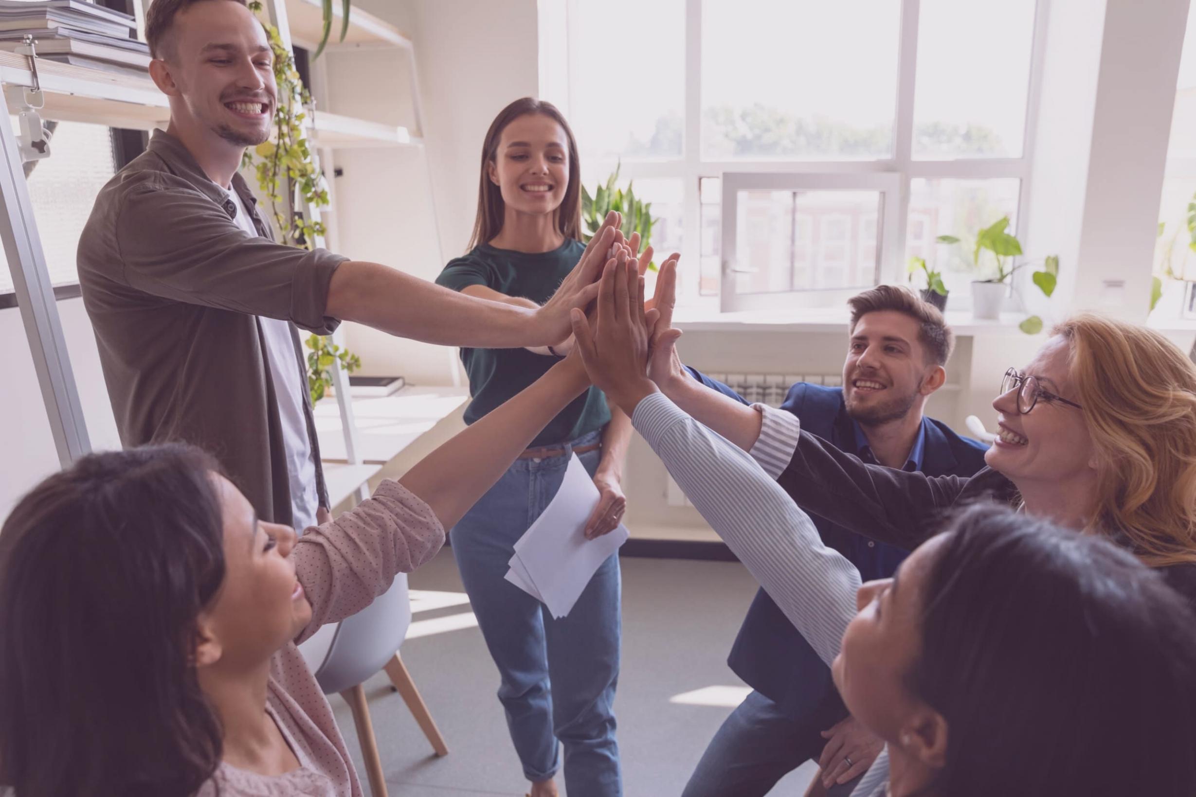 Praktische SEO-Tool-Anwendung in Kursen